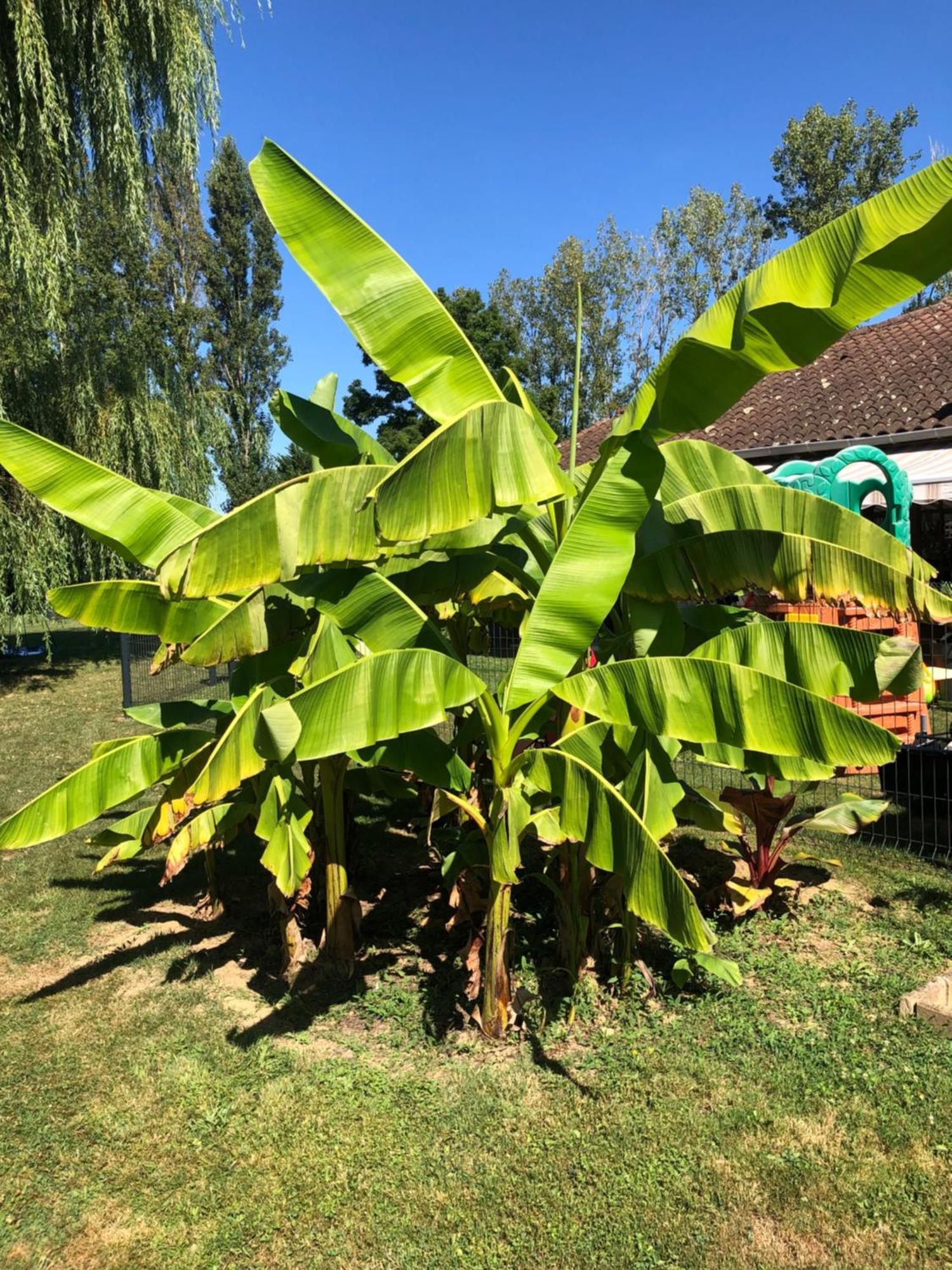 לינה וארוחת בוקר Saint-Étienne-sur-Reyssouze Parc De La Charmille מראה חיצוני תמונה