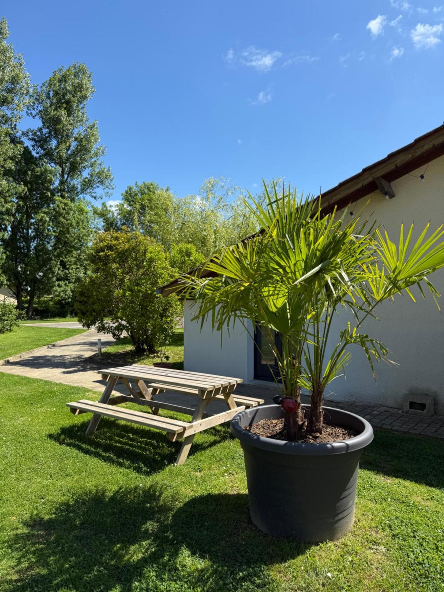 לינה וארוחת בוקר Saint-Étienne-sur-Reyssouze Parc De La Charmille מראה חיצוני תמונה